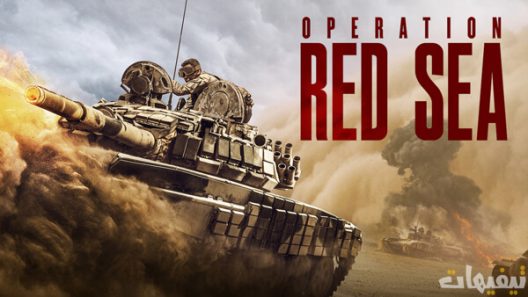 Operation Red Sea