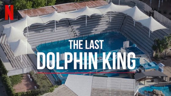 The Last Dolphin King 2022